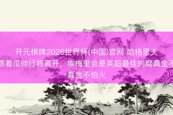 开元棋牌2026世界杯(中国)官网 哈格里夫斯：跟着瓜帅行将离开，埃梅里会是英超最佳的磨真金不怕火