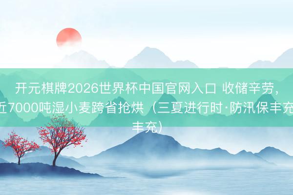 开元棋牌2026世界杯中国官网入口 收储辛劳,近7000吨湿小麦跨省抢烘(三夏进行时·防汛保丰充)