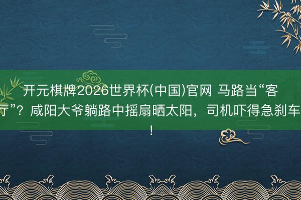 开元棋牌2026世界杯(中国)官网 马路当“客厅”？咸阳大爷躺路中摇扇晒太阳，司机吓得急刹车！